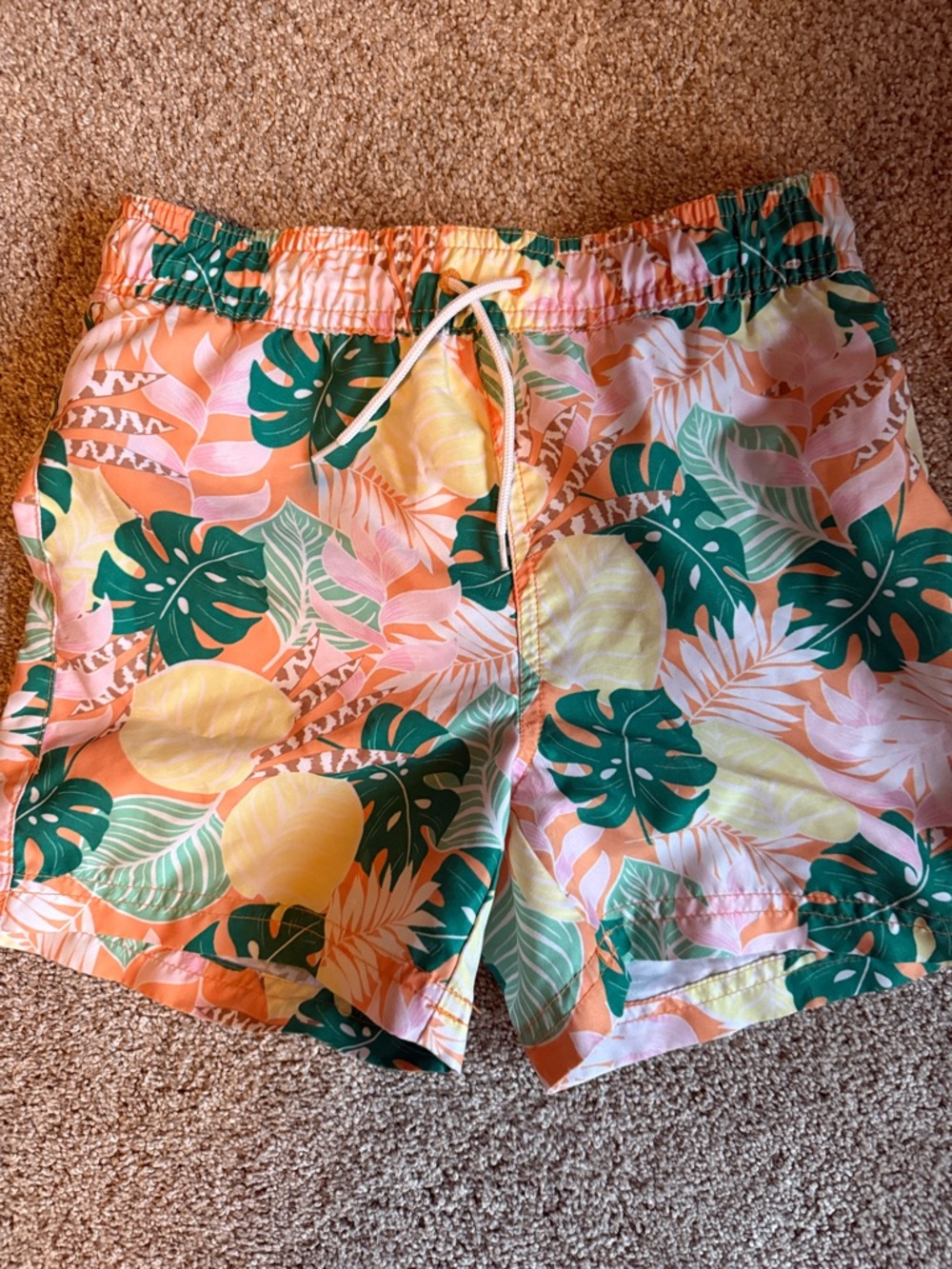 Janie and Jack Tropical Leaf & Citrus bathing suit  - Pink, Green, Yellow